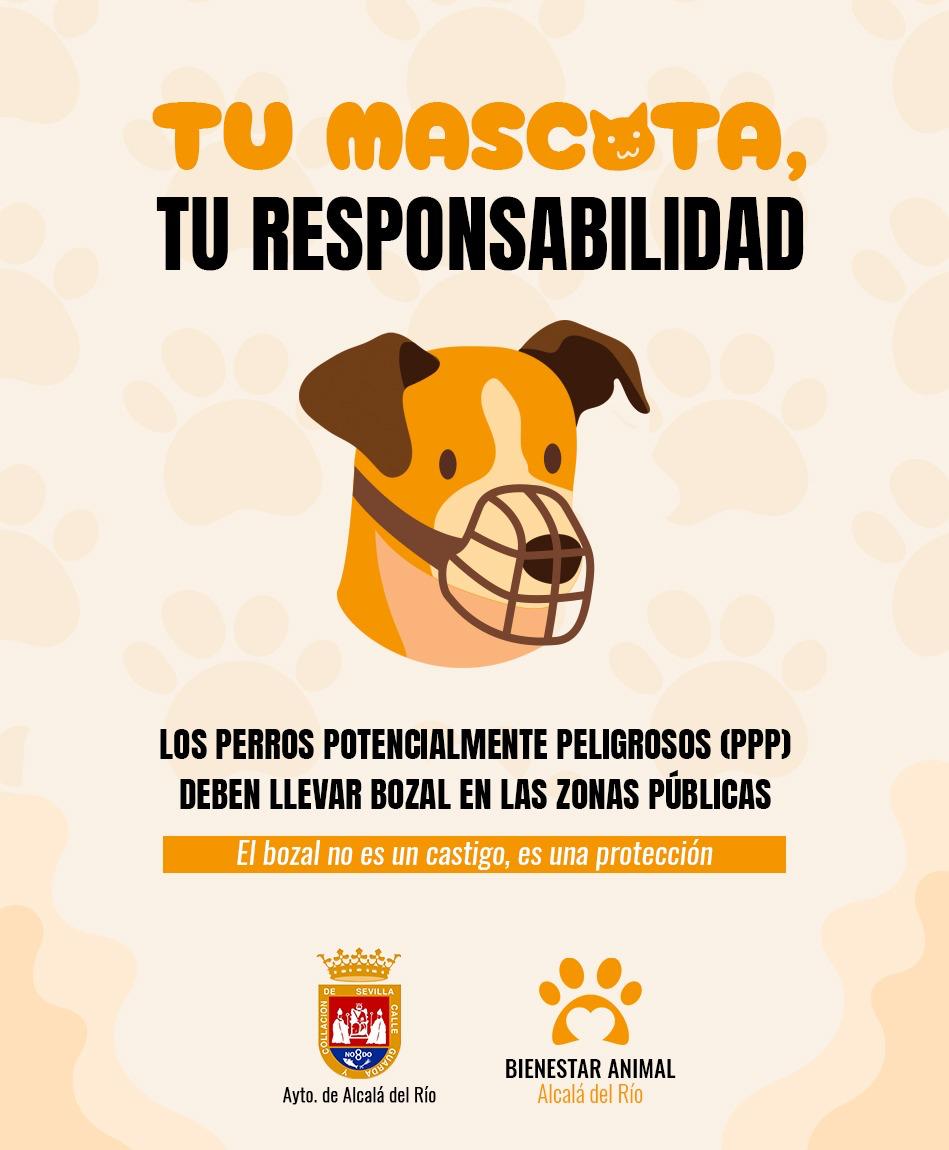 CAMPAN¿A MASCOTAS 3