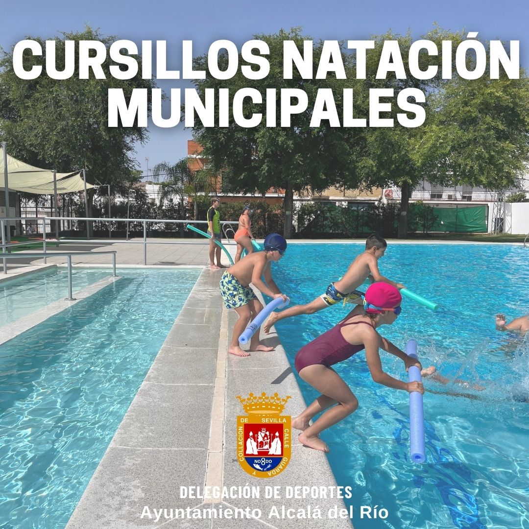 Cursillos de Natación 2024