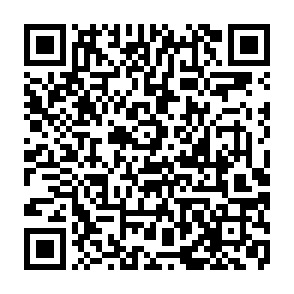 WhatsApp Image 2024-08-22 at 13.56.00