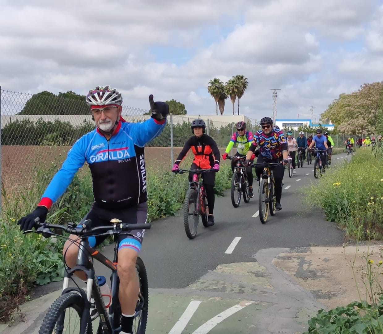 diametropolitano (1)