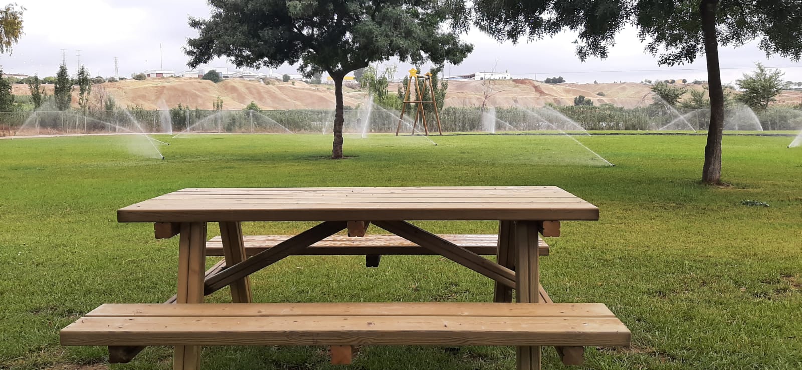 noticialoberilla (2)