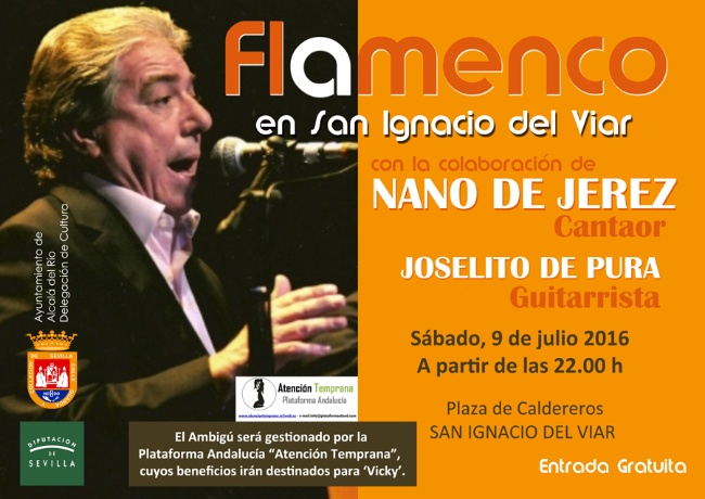 Festival Flamenco San Ignacio 2016