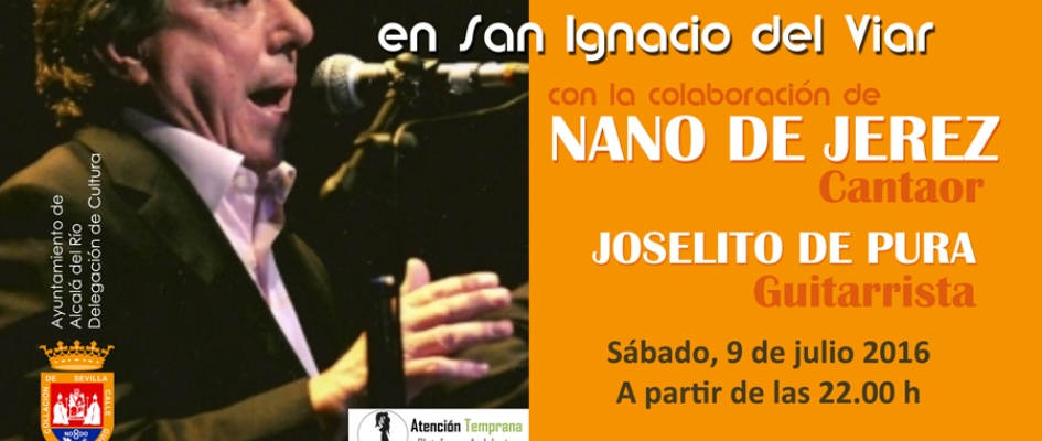 097_Festival_Flamenco_San_Ignacio_2016.jpg